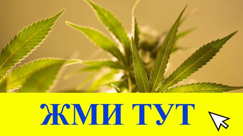 Купить наркотики в Трубчевске